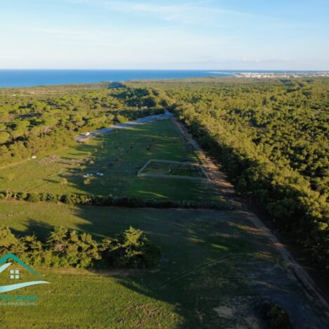 شاطئ المنصورة