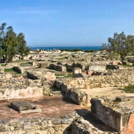 شاطئ المنصورة